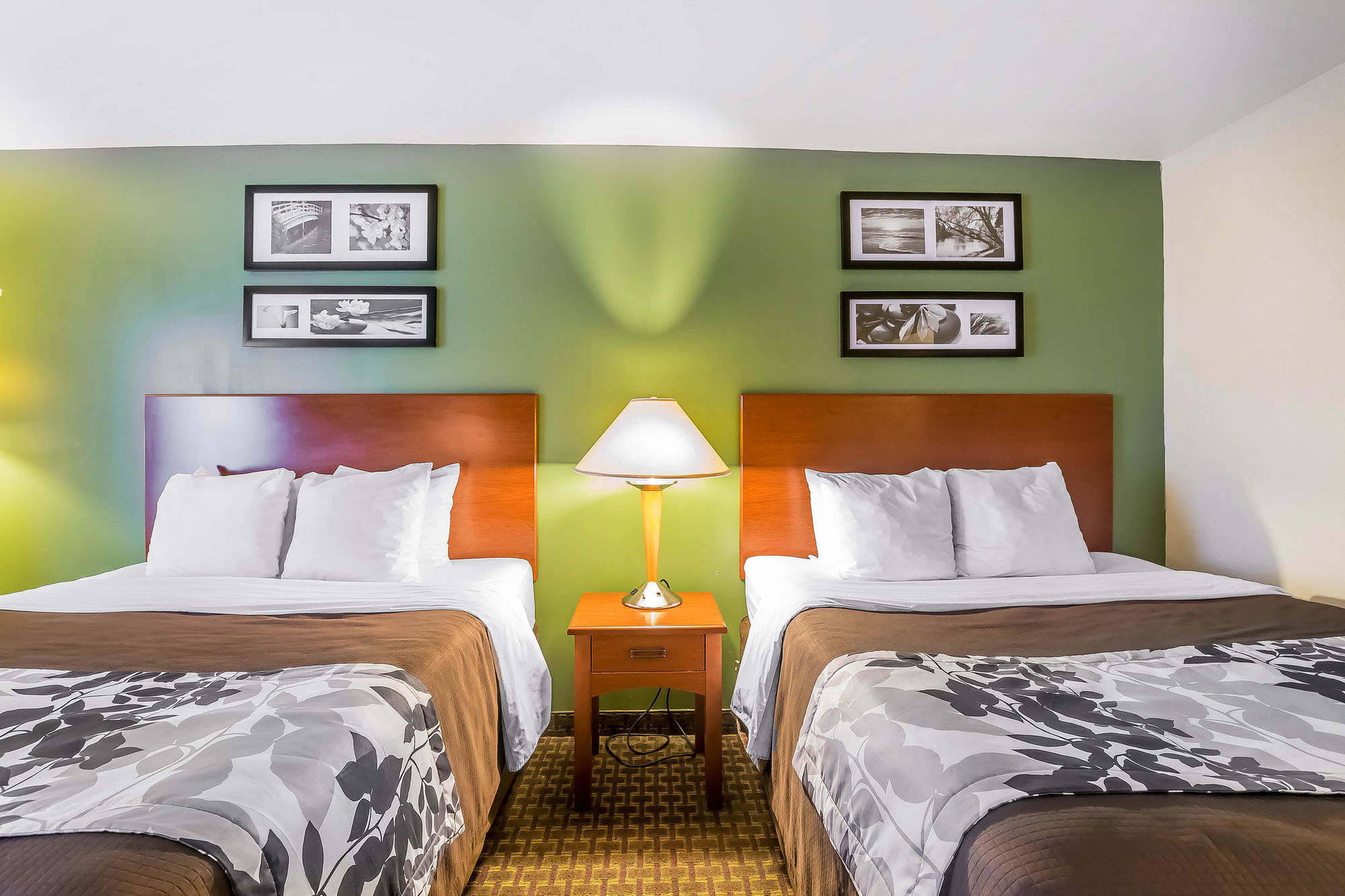 Spark By Hilton Shepherdsville Louisville South Zimmer foto